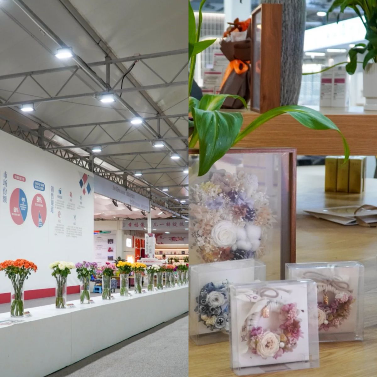 云南旅游,云南旅行社,云南團(tuán)建公司,云南策劃公司,云南會(huì)議會(huì)展,麗江旅行社,麗江團(tuán)建公司,麗江策劃公司,麗江會(huì)議會(huì)展,麗江策劃執(zhí)行：走進(jìn)“麗江de花”，與“中國最好的玫瑰”’共赴一場(chǎng)浪漫至極